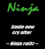 ♦ Ninja ZX-10RR ♦
